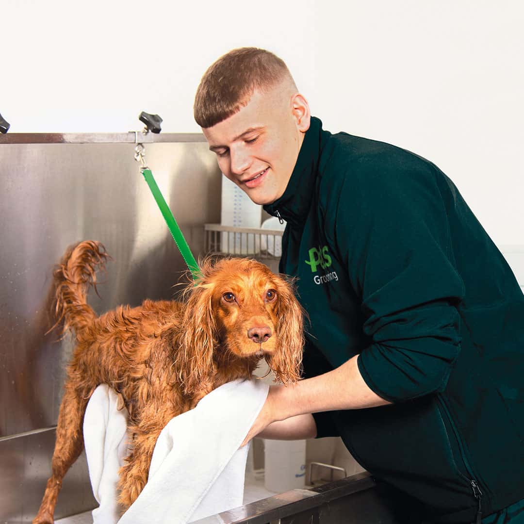 The Ultimate Guide to First-Time Pet Parenting