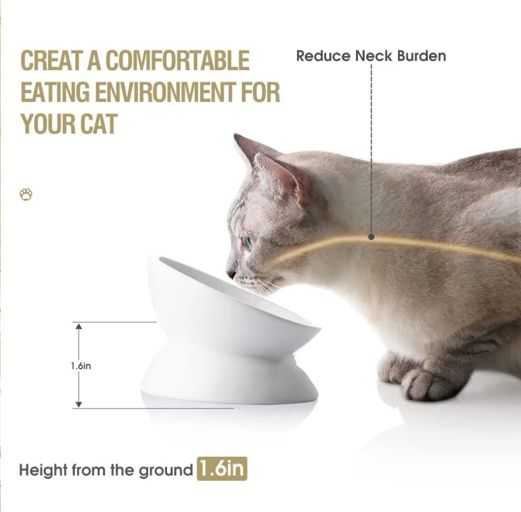 Ceramic Raised Cat Bowls, Slanted Cat Dish Food or Water Bowls, Elevated Porcelain Pet Feeder Bowl,White