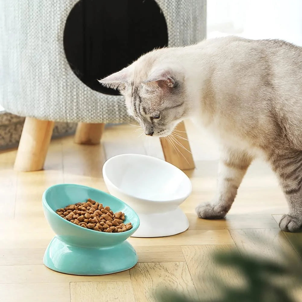 Ceramic Raised Cat Bowls, Slanted Cat Dish Food or Water Bowls, Elevated Porcelain Pet Feeder Bowl,Turquoise