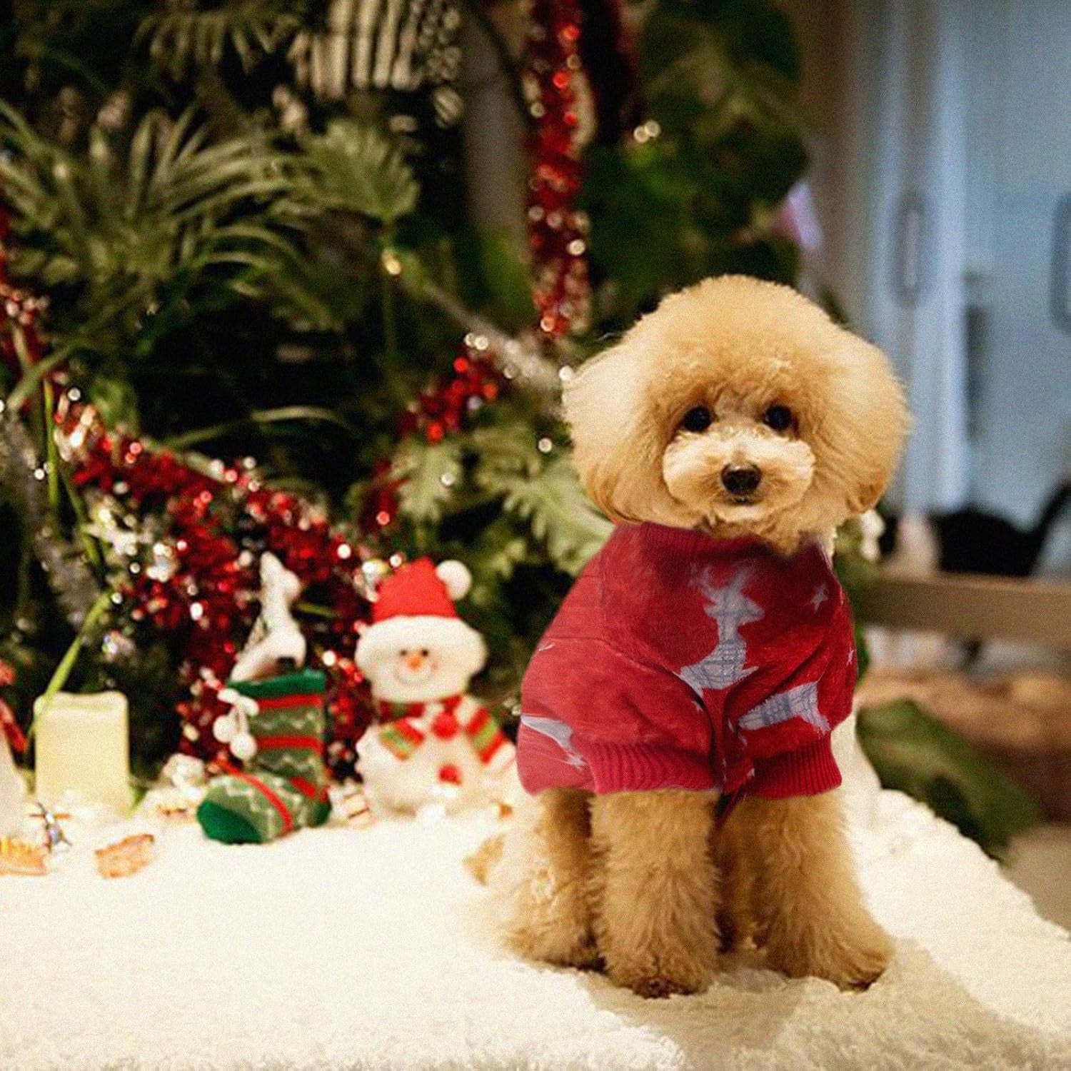 Dog Christmas Pajamas, Pet Lovely Reindeer Pajamas for Small Medium Dogs, Xmas Holiday Doggie Pajamas Warm and Cozy Puppy Jumpsuit Red (L)