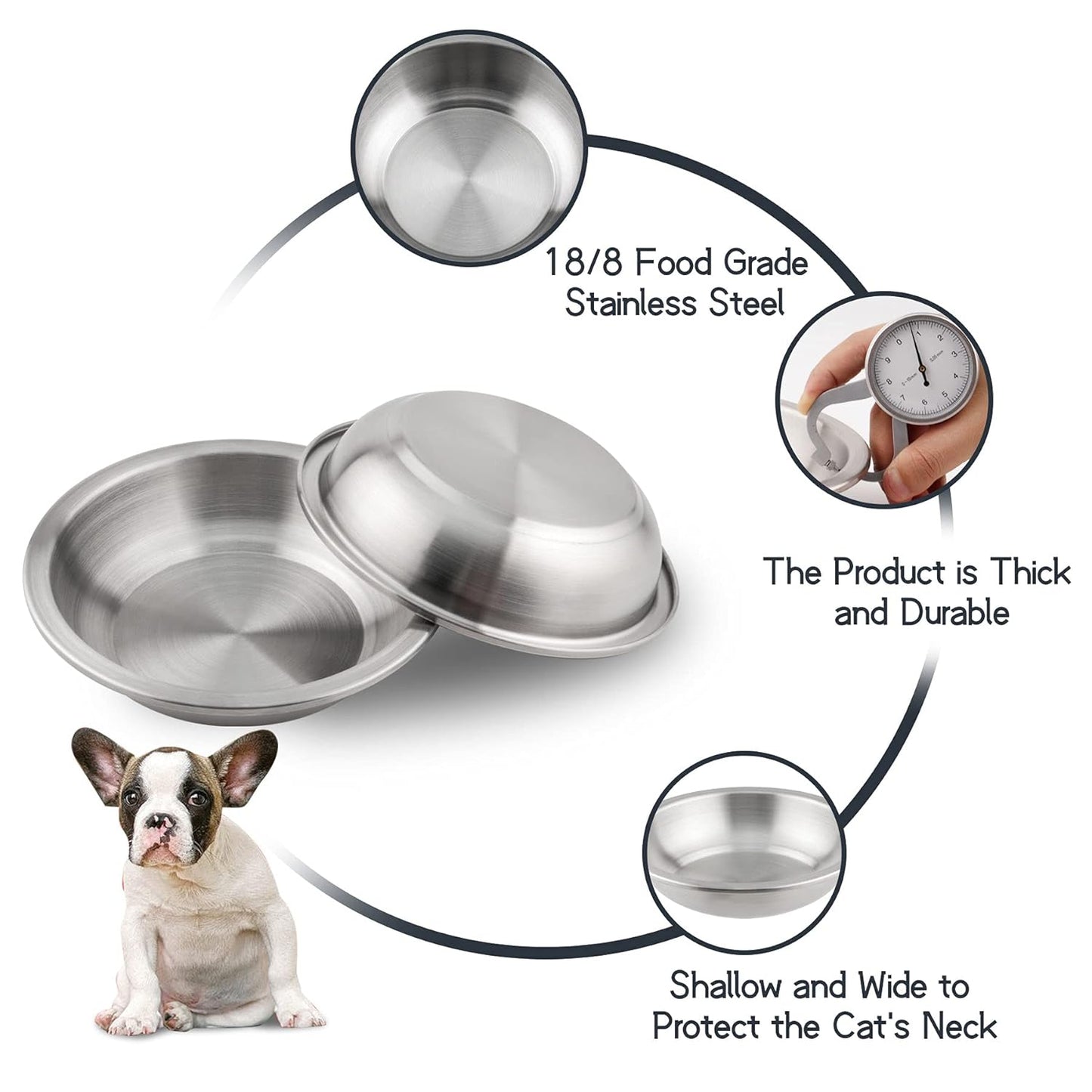 Cat Dishes Food Bowls,Stainless Steel Pet Food & Water Bowls Set for Dogs and Cats,Feeding and Watering Dish Bowl for Kitten Puppy (2 Pcs, 6.3 Inch)