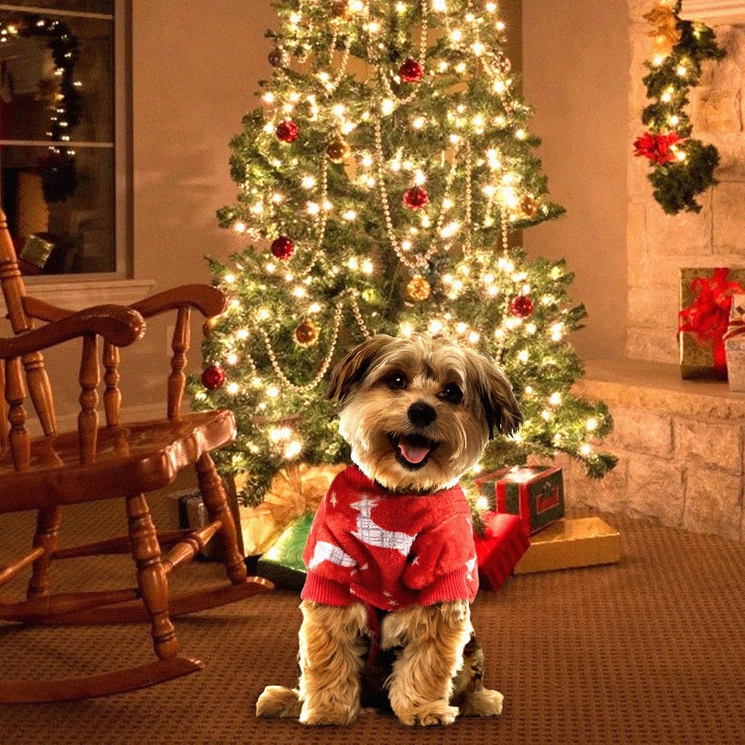 Dog Christmas Pajamas, Pet Lovely Reindeer Pajamas for Small Medium Dogs, Xmas Holiday Doggie Pajamas Warm and Cozy Puppy Jumpsuit Red (L)