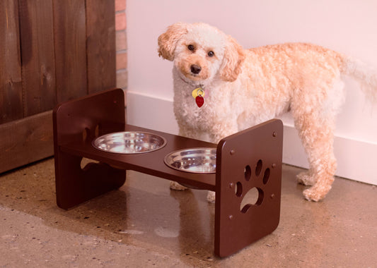 PTF0051720800 Elevated Pet Feeder