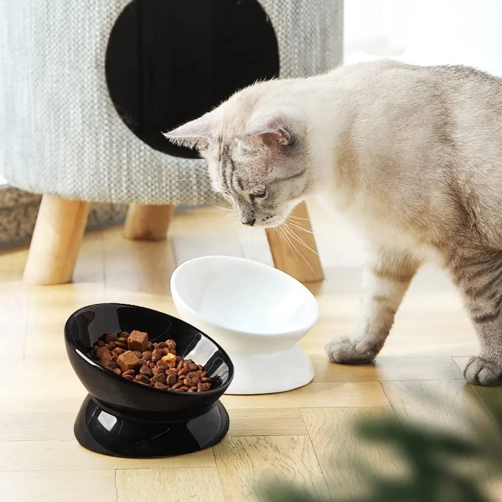 Ceramic Raised Cat Bowls, Slanted Cat Dish Food or Water Bowls, Elevated Porcelain Pet Feeder Bowl,White
